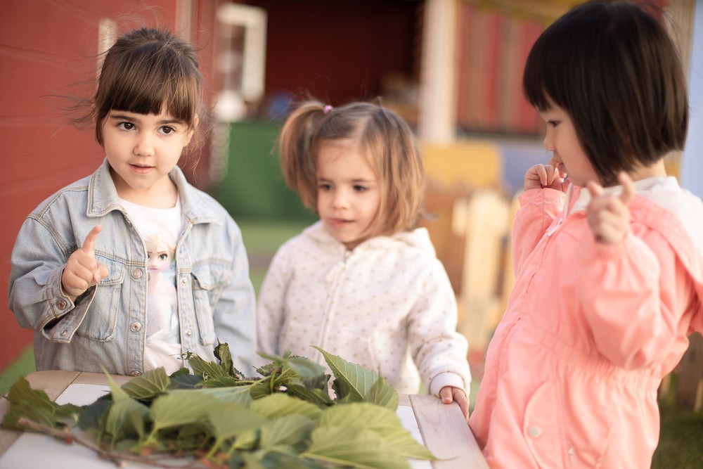 Alumnas de Educación Infantil bilingüe del Colegio Juan de Lanuza observan hojas durante una actividad al aire libre